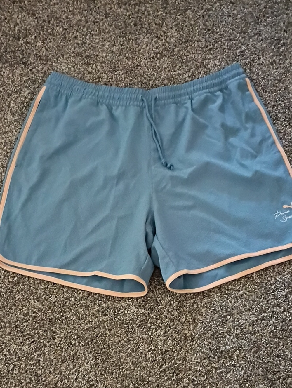 Puma Light Blue Athletic Shorts with Grey Waistband